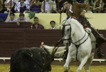 Ventura triunfa en Lisboa El jinete sevillano en su actuación hoy en Lisboa.