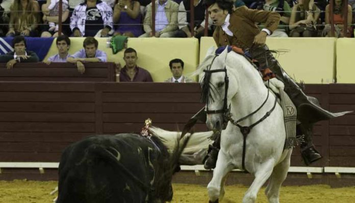 El jinete sevillano en su actuación hoy en Lisboa.