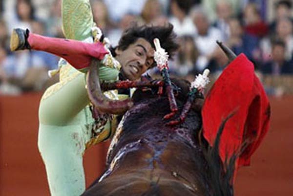 El pitón del toro atraviesa los gemelos de Curro Díaz. (FOTO: Arjona/lamaestranza.es)