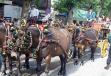 Nueva polémica en la REAL MAESTRANZA Ante la suspensión de la empresa de la Maestranza, el Real Club de Enganches celebró la exhibición en las calles aledañas a la plaza con sol.