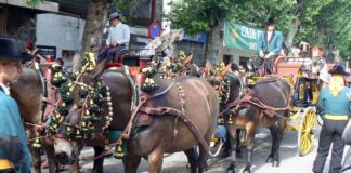 Ante la suspensión de la empresa de la Maestranza, el Real Club de Enganches celebró la exhibición en las calles aledañas a la plaza con sol.