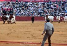 La desilusión continúa El quinto, devuelto a corrales. (FOTO: Paco Díaz/toroimagen.com)