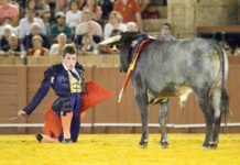 Noche con alas para iniciar el vuelo Un joven aspirante en el ciclo del año pasado, (FOTO: Matito)