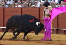 La Feria de Huelva se presenta en Sevilla (GALERÍA GRÁFICA) Los empresarios de Huelva, Carlos Pereda y Óscar Polo, hoy en el Hotel Colón de Sevilla. (FOTO: Eduardo López)