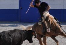 El taurino sevillano Melquiades Garrido, apoderado del rejoneador Andrés Romero El rejoneador Andrés Romero, apoderado por el sevillano Melquiades Garrido.