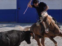 El rejoneador Andrés Romero, apoderado por el sevillano Melquiades Garrido.