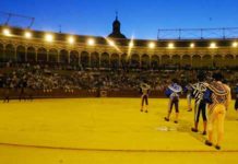 La corrida de la Virgen de los Reyes, el 14 por la noche Paseíllo nocturno en la Maestranza. (FOTO: lamaestranza.es)