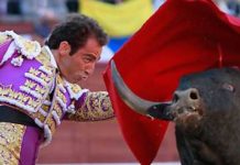 Salvador Cortés se estrella con el nulo juego de los toros en Madrid Salvador Cortés, en un pase de pecho hoy en Madrid. (FOTO: las-ventas.com)