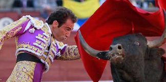 Salvador Cortés, en un pase de pecho hoy en Madrid. (FOTO: las-ventas.com)