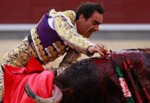 El Cid falla con la espada a un ‘miura’ en Nimes