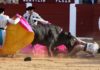 Instante de la cornada del banderillero Juan Sierra esta tarde en Plasencia. (FOTO: mundotoro.com)