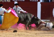 El banderillero sevillano Juan Sierra, corneado Instante de la cornada del banderillero Juan Sierra esta tarde en Plasencia. (FOTO: mundotoro.com)