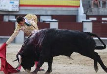 Desigual resultado artístico de los toreros sevillanos El sevillano Pepe Moral toreando esta tarde con la derecha en la plaza de Madrid. (FOTO: las-ventas.com)