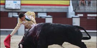 El sevillano Pepe Moral toreando esta tarde con la derecha en la plaza de Madrid. (FOTO: las-ventas.com)