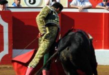 El Cid, sin suerte con los toros en Santander Un muletazo de El Cid esta tarde en Santander. (FOTO: mundotoro.com)