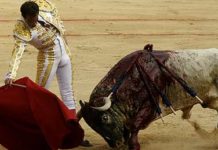 Salvador Cortés, silenciado en la plaza de Pamplona