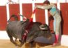 El sevillano Manuel Escribano en un apretadísimo par de banderillas en mayo en Antequera, con un toro de Victorino Martín. (FOTO: desdelcallejon.com)