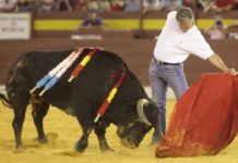 …Y Espartaco volvió a torear