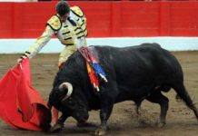 Luque, a punto de indultar un toro en Santander Excelente muletazo del sevillano Daniel Luque esta tarde en Santander. (FOTO: mundotoro.com)