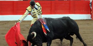 Excelente muletazo del sevillano Daniel Luque esta tarde en Santander. (FOTO: mundotoro.com)