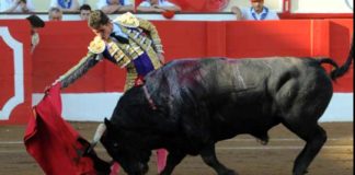 Daniel Luque toreando a un toro de Sorando esta tarde en Santander. (FOTO: mundotoro.com)
