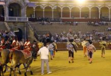 La corrida de la Virgen de los Reyes regresa al 15 de agosto La foto de la web de la empresa Pagés para comunicar el cambio de fecha, con los tendidos vacíos, no anima el festejo precisamente... (FOTO: lamaestranza.es)