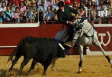 Los toreros sevillanos triunfan en el festival de Almonte Diego Ventura encelando a su astado esta tarde en Almonte. (FOTO: Toromedia)