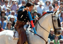 Diego Ventura, a lomos de 'Distinto'. (FOTO: Matito)