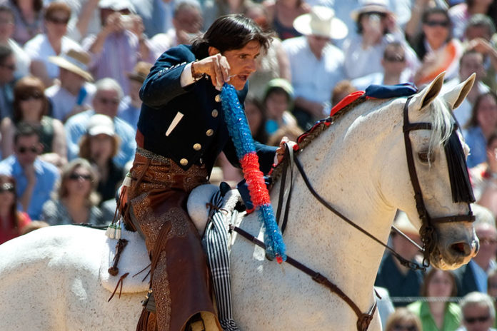 Diego Ventura, a lomos de 'Distinto'. (FOTO: Matito)