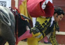 Morante de la Puebla cae noqueado en Almería