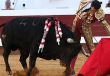 Importante El Cid
