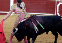Buena nota para los sevillanos