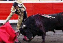 Importante faena de El Cid en Bilbao El Cid, en un derechazo esta tarde en Bilbao. (FOTO: mundotoro.com)