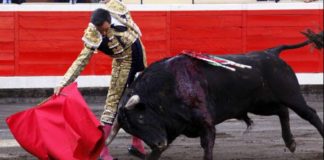 El Cid, en un derechazo esta tarde en Bilbao. (FOTO: mundotoro.com)