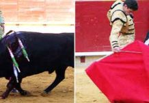 Muletazos de El Cid y Daniel Luque.