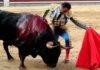 Uno de los buenos muletazos de El Cid al destacado toro de Puerto de San Lorenzo esta tarde en Madrid. (FOTO: mundotoro.com)