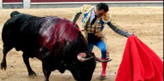 Uno de los buenos muletazos de El Cid al destacado toro de Puerto de San Lorenzo esta tarde en Madrid. (FOTO: mundotoro.com)