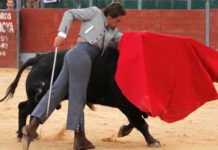 Dávila Miura, en un pase de pecho esta tarde. (FOTO: Guillermo Lorente / mundotoro.com)