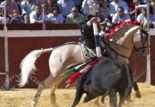 Triunfo total Un par de banderillas a dos manos de Diego Ventura. (FOTO: López-Matito)