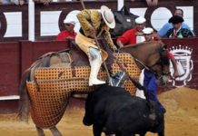 El puyazo premiado del sevillano Juan Alfonso Doblado. (FOTO: Pepe Pastor/Málaga Toro)