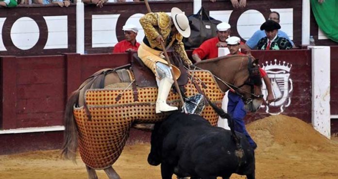 El puyazo premiado del sevillano Juan Alfonso Doblado. (FOTO: Pepe Pastor/Málaga Toro)