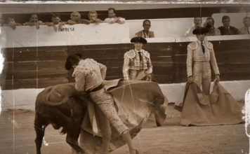 Arrebujado en la media.