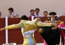 Oliva Soto, cogido en Fuengirola con posible fractura de clavícula