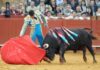 'Arrojado', de la ganadería de Núñez del Cuvillo, el toro histórico de la temporada. (FOTO: López-Matito)