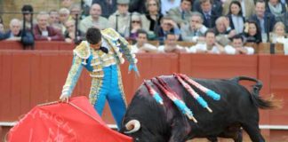 'Arrojado', de la ganadería de Núñez del Cuvillo, el toro histórico de la temporada. (FOTO: López-Matito)