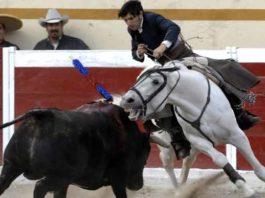 Diego Ventura, en la plaza esperando a cobrar.