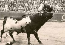 Cuando en la enfermería lo recibieron con una ovación Diego Puerta, colgado de los pitones en varias ocasiones de los pitones de 'Escobero', de Miura.