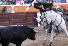 Diego Ventura, de vacío en la plaza de Zacatecas