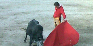 Pepe Moral en un tentadero en la ganadería mexicana de Puerta Grande.