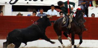 Ventura, en un lance del festejo de Motul.